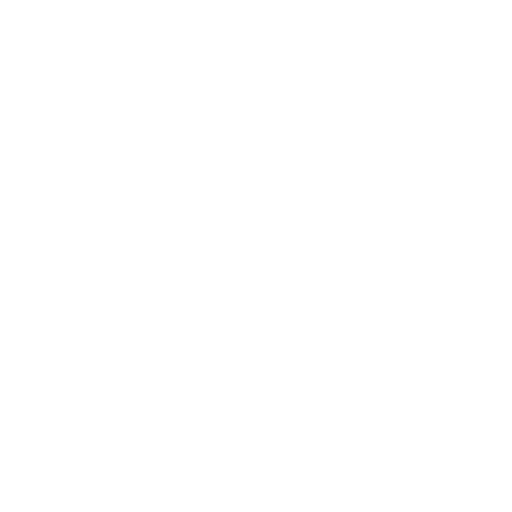Logo flash Boanerghes